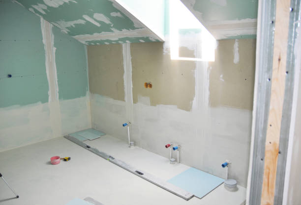 Best Mold Odor Removal Services  in Valley Stream, NY