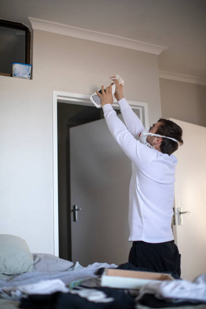 Best Asbestos and Lead Testing During Mold Inspection  in Valley Stream, NY