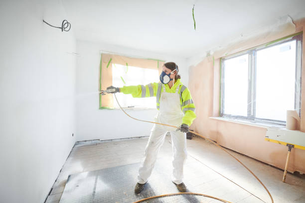 Best Environmental Consulting for Mold Prevention  in Valley Stream, NY