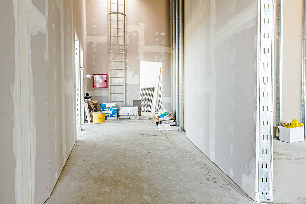 Best Airborne Mold Testing  in Valley Stream, NY